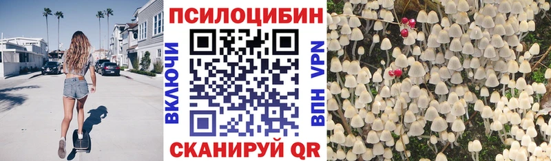 Псилоцибиновые грибы MAGIC MUSHROOMS  закладка  mega ссылка  Бугуруслан 