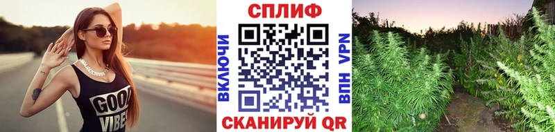 Канабис сатива Бугуруслан